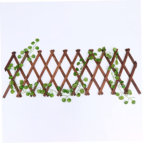 Support mural pour plantes grimpantes rigide pour tuteurer vos fleurs - 3