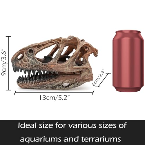 Image of Fish Hideout Aquarium Decor Decorations Dinosaur Skull Fish Tank Decor Cave Dinosaur Skull Betta Animal Halloween Large Tarantula Reptile Bones Snake for Terrarium Ornament
