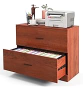 SILKYDRY 2 Drawer Lateral File Cabinet, 35.5" Wide Home Office Drawers, Adjustable Hanging Bars f...
