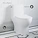 Ivy One-Piece Elongated Toilet Left Side Flush, 10