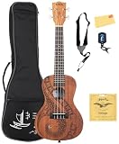 Kala Guidance - Ukelele de concierto de caoba, paquete con bolsa de concierto, afinador, correa, cuerdas y paño de pulido Austin Bazaar
