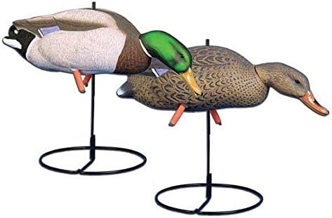 Higdon Magnum Full Body Mallard Feeder Duck Decoys - 6 Pack