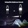 Lepro LED Lanterns Battery Powered, Camping Essentials, IPX4 Water Resistant, Outdoor Portable Lights for Emergency, Hurricane, Storms and Outages, 4 Pack #2