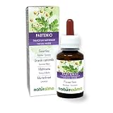 Mutterkraut (Tanacetum parthenium) Kraut mit...