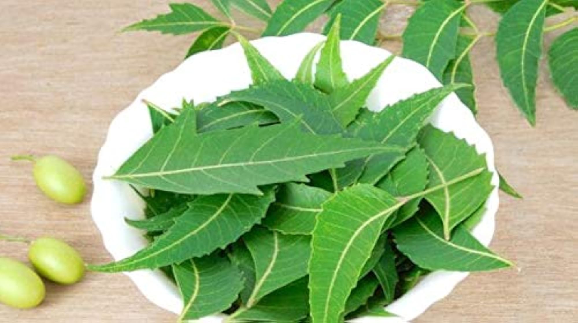 Ayureshmi Neem Extract Capsules, 750mg