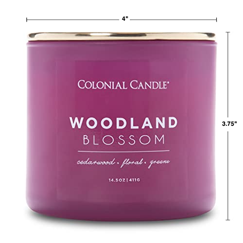 Colonial Candle Woodland Blossom Scented Jar Candle, Pop Of Color Collection, 3 Wick, Purple, 14.5 Oz - Up To 60 Hours Burn #TOP5