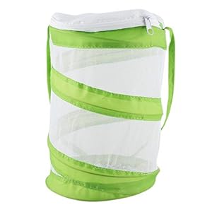 Mumusuki Vlinderkooi Insectenkweeknet, draagbaar opvouwbaar, geschikt voor vlinders, spinnen, wormen, kevers, reptielen (groen)