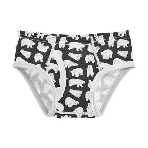 Little Boys Briefs Polar Bear Soft Cotton Toddler Underwear in Sizes 2/3t, 4t, 5t, 6 and 8