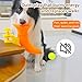 Automatic Ball - Interactive Dog Thrower, Long-Distance Launch with Adjustable Range, Non-Slip Tennis with Rechargeable Battery, Pet Ball Machine, Fetch Trainer for Small Dogs