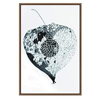 SIGNWIN Framed Canvas Wall Art Black and White Chinese Lantern Flower with Seed Pod Botanical Plants Photography Modern Art Contemporary 3D Relax/Calm for Living Room, Bedroom, Office - 16