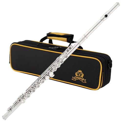 Photo 1 of Closed Hole C Flute 16 Keys Instrument for Student Beginners with Cleaning Kit