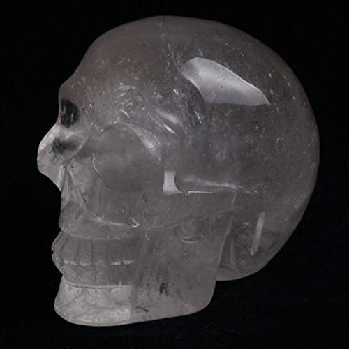 Hjt Hongjintian Crystal Natural Clear Quartz Skull 3.70" L 1.77Lbs ¡­ #TOP2