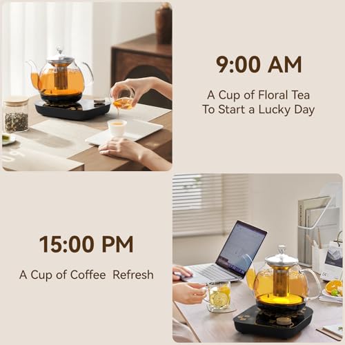 Tetera eléctrica de vidrio para té 0.8 L 800W miniatura 2