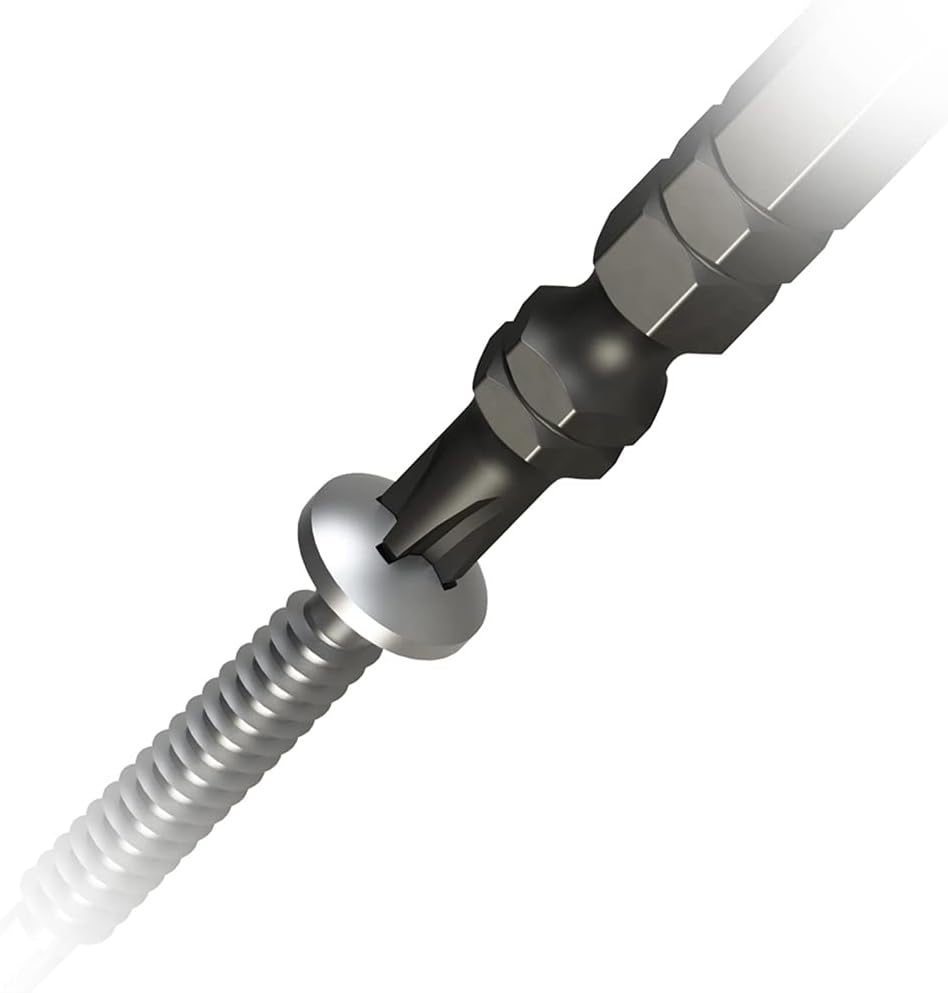 ANEX ABRS-14M Black Dragon Toughness Bit Slim Type + 2 x 110 Set of 10