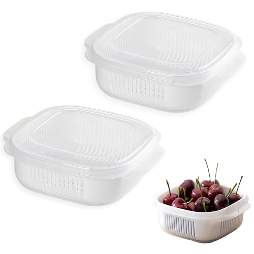 冷凍ごはん容器 保存容器 【2個セット】 電子レンジ・食器洗い機対応 BPAフリー ご飯保存容器 軽量 ホワイト 極蒸加熱構造 フタ付き 冷蔵・冷凍・解凍対応