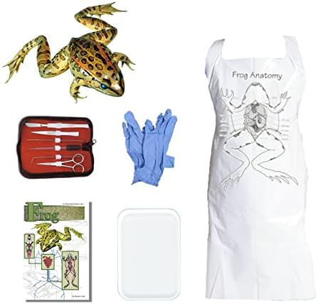 Anatomy Lab Frog Dissection Kit with Scalpel Dissection Guide