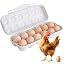 #1|019 12 Eggs Gray