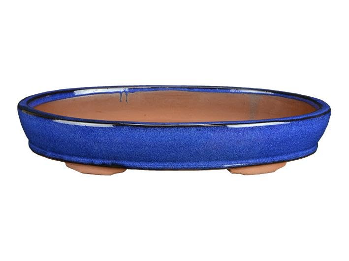 Vaso per bonsai ovale in gres smaltato blu 35x23x5 cm - BJA13a