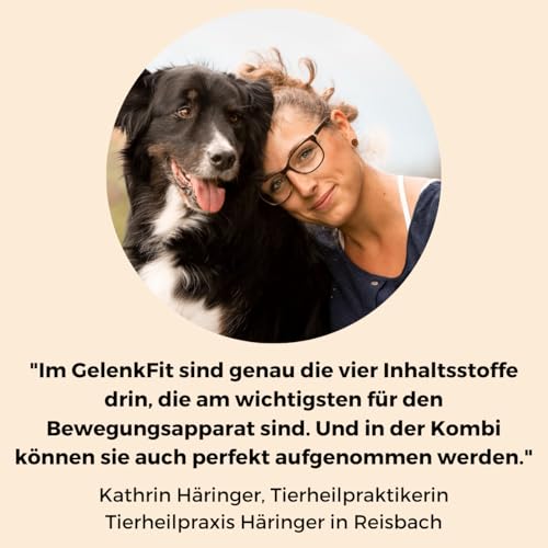 DOG NATIVE GelenkFit für Hunde, hochdosiertes Gelenkpulver mit Grünlippmuschel, MSM, Chondroitin & Kollagen, natürliches Pulver für Gelenke, 175g