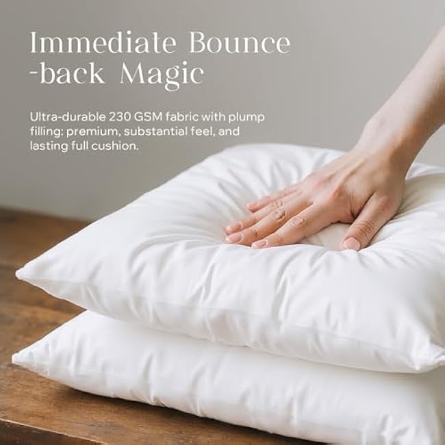 Phantoscope 100% Virgin Fiber Pillow Inserts, Premium Microfine Fiber Square Hypoallergenic Throw Pillow Inserts for Bedroom, Study, Chair 18x18 inches Pack of 4