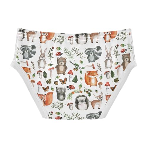 Boys' Exclusive Briefs Toddler Underwear 95% Combed Cotton Boxerbriefs 2T Forest Animal Pattern Woodland 372