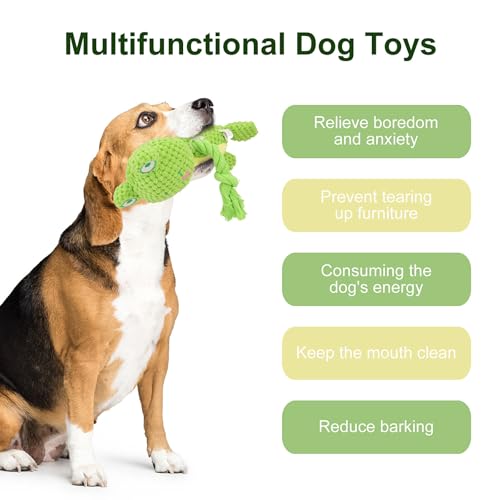 TONYFY Hundespielzeug, Hund Quietschspielzeug mit Knitterpapier, Plüschtier Hund Plüsch Kauspielzeug, Baumwollseil interaktives Spielzeug für Welpen, kleine, mittlere Hunde (Grüner Frosch)