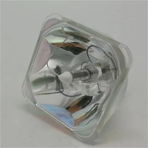 Lampe NP23LP pour dynamiser vos présentations sur NEC P451W - 2