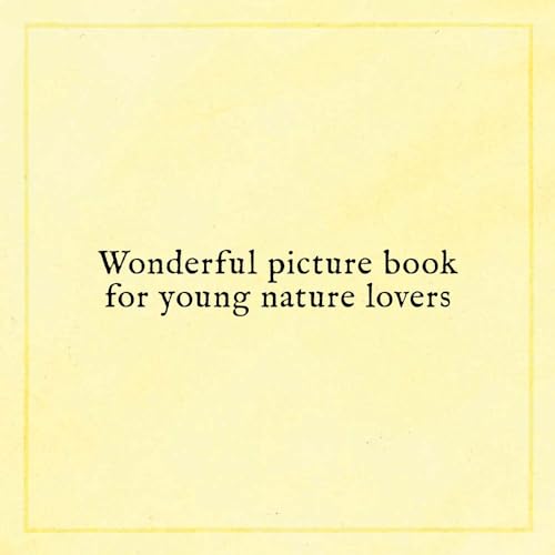 When You Find the Right Rock - Image 2