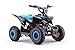 MINIQUAD Gasolina 49CC Infantil, RATTE-R6-BN, Azul, niños de 4 a 10 años