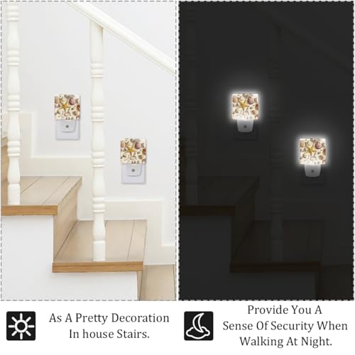 Image of NEWzone Seashells Starfish Night Light [2 Pack], Plug in Wall Led Night Lights Decor for Boys Girls Room, Dusk to Dawn Sensor Wall Lamp for Stairway /Bedroom /Kitchen /Nursery Room