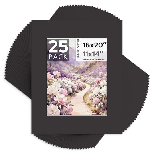 Lot pastilles noires sans acide 16x20 passe-partout photo 11x14