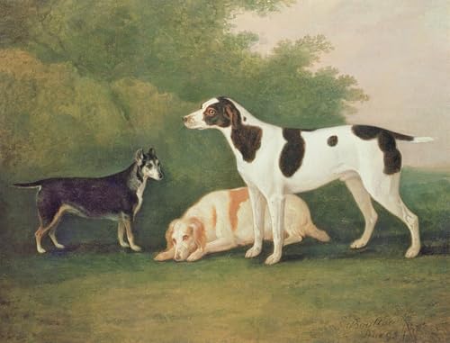 Impression d'affiches Trois chiens dans un paysage par Boultbee art premium