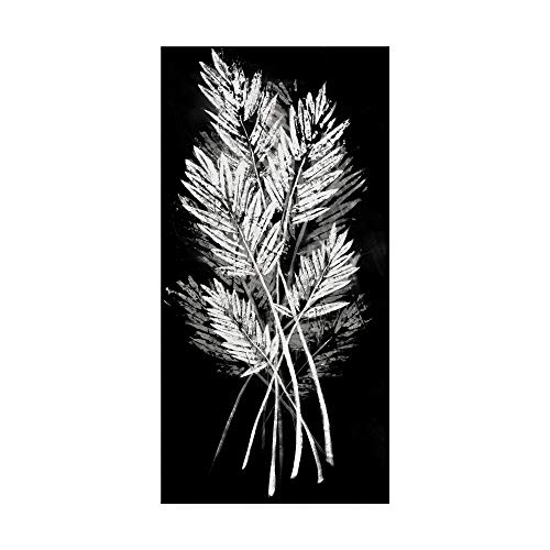 Trademark Fine Art Palm Leaf Fresco II by Vision Studio, 16x32-Inch,