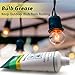 Keze Dielectric Grease Automotive Electrical Grease for Connectors Grasa Dielctrica Battery Terminal Protector Silicone Di Electrical Grease for Ignition Coils Wiring Car Spark Plug, 1 Oz-2 Pack