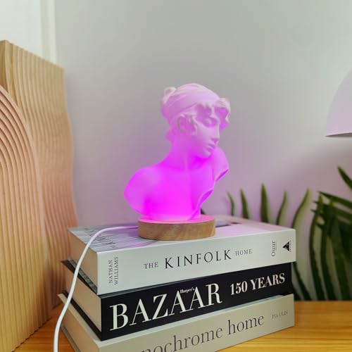 Image of Sappho Lamp ,Bedside lamps, Lights for Bedroom Aesthetic, Novelty Lamp with Remote 16 Colors, Dimmable Night Light, Bedroom Decor for Women, Unique Lamps,Cozy Lighting,Home Decor,Christmas Gifts