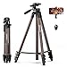 71" Camera Tripod, Lightweight Aluminum Phone Tripod with Wireless Remote, Phone Holder & Carry Bag,Portable Travel Camera Stand for Smartphones Canon Nikon DSLR Cameras, Max Load 6.6 lb (Rose gold)