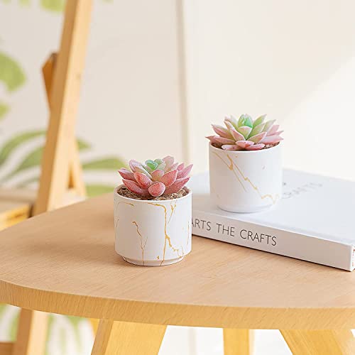 zenmag-Succulents-Plants-Artificial-Mini-Fake-Succulents-in-White-Ceramic-Pots-for-Desk-Livingroom-Bathroom-and-Home-Decoration-Office-Decor-for-Women-Set-of-2-Artificial-Succulents
