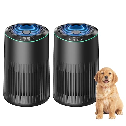 MERONTE Air Purifiers for Bedroom Home with Sleep Mode for Smoke Pet Dander Odors, Small Air Purifier with Fragrance Sponge, Blue Ambient Light, 23dB Quiet, MR2566, 1 Type 2 Pack Black