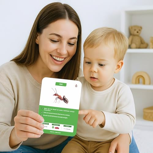 Image of SPARTAN KIDS Insect Flash Cards for Kids | 28 Early Learning Flash Cards Easy & Fun Way of Learning 1 Year to 6 Years Babies