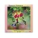 Summer Hummer 1000 pc Jigsaw Puzzle