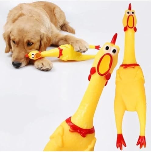 Öten Çığlık Atan Horoz Tavuk Civciv Köpek Kedi Için Bağıran Sesli...