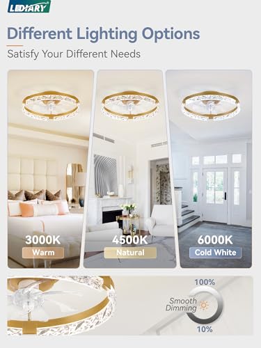 Image of LEDIARY 20 inch Low Profile Ceiling Fans with Lights, APP & Remote, Gold