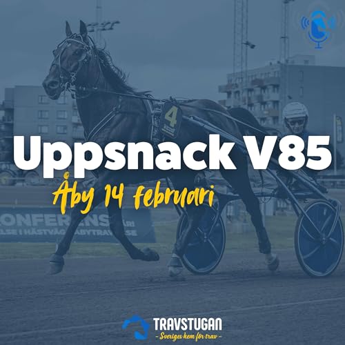 &Aring;by 14 februari: "Vi l&aring;nade Tillmans spyhink"