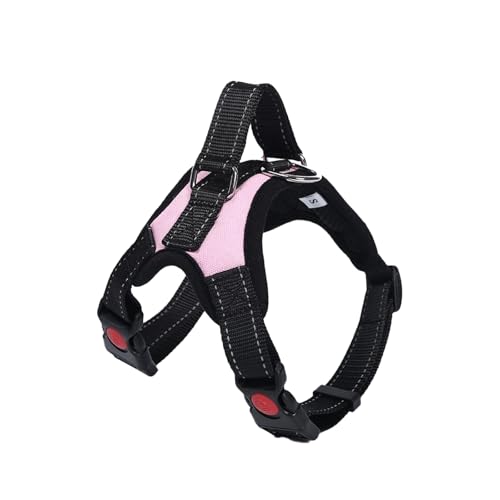 Correas Perros Pequeños Rosa Marca OLEOJH