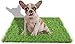 STARROAD-TIM 23,62 x 19,68 pouces Fausse Herbe Pour Chiens Potty Training Tapis De Gazon Artificiel Gazon Pour Chien Herbe Décoration Intérieure Extérieure Avec Coussin De Trou De Drainage