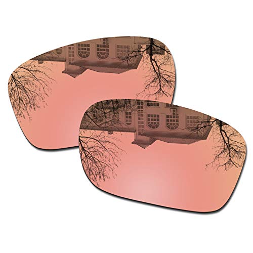 Image of TwoFace OO9189 Replacement Lenses /Accessories Compatible with Oakley Sunglass
