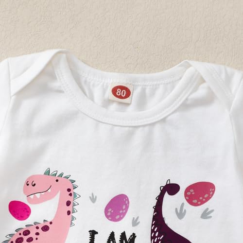 Toddler Baby Boy Girl Birthday Outfit Dinosaur Short Sleeve Romper/Shirt Shorts Set 1st-3rd Birthday Outfit4