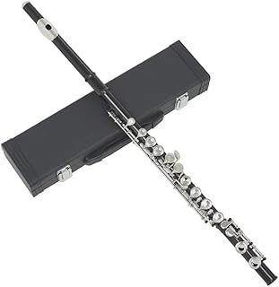 16 hole flute woodwind instrument black C key brass concert flute with leather case instrument accessories