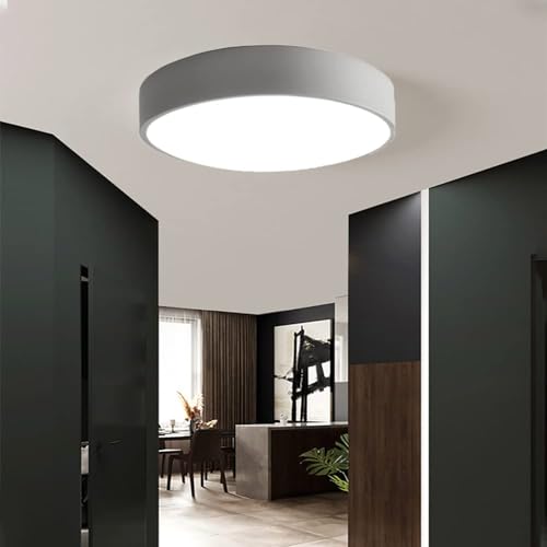 Plafonnier LED rond 50 cm à intensité variable gris 36W design