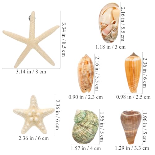 Imanes Decorativos Pequeños Forma Concha 7 Pcs miniatura 2